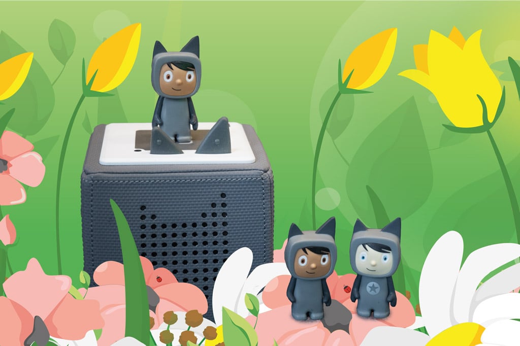 toni-box-hintergrund-wiese_komp